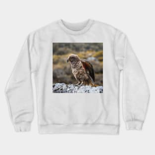 Kea Bird Showing its Colorful Wings in the Mountains of New Zealand Crewneck Sweatshirt